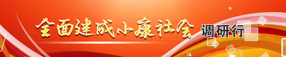 全面建成小康社會調研行