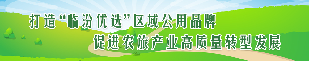 打造“臨汾優(yōu)選”區(qū)域公用品牌 促進農旅產業(yè)高質量轉型發(fā)展