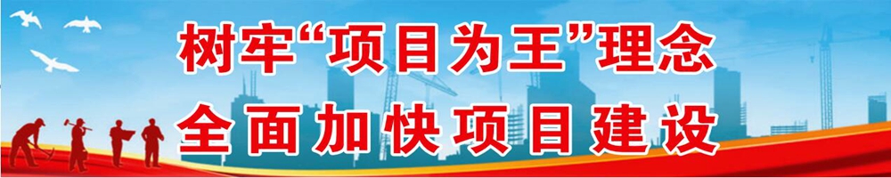樹牢“項目為王”理念 全面加快項目建設