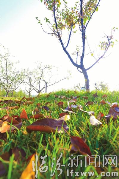 臨汾澇洰河公園:漫步深秋好去處
