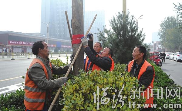 臨汾:防寒啟動(dòng) 樹(shù)木“穿衣”過(guò)暖冬