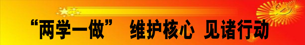 “兩學一做” 維護核心 見諸行動
